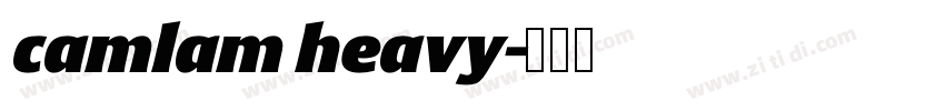 camlam heavy字体转换